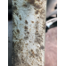 Замок капота Renault Trafic / Opel Vivaro / Nissan Primastar 8200143341 91168343 8200237684 8200274233