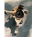 Цапфа (поворотний кулак) передній лівий на Toyota Yaris 4321152010