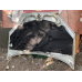 Капот Ford Focus MK1 1064062