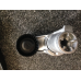 Комплект ременя генератора BMW 11282457049