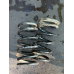 Пружина задня Mitsubishi Grandis 2.4 Mivic MR594435 MR594434