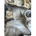 Коробка передач Renault Megane III / Renault Scenic III 6 МКПП 1.9 dci