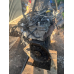 Двигун у зборі Jeep Grand Cherokee II 2.7 CRD WJ Двигун у зборі Jeep Grand Cherokee II 2.7 CRD WJ