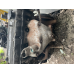 Двигун mazda 323 1.3 54 kw