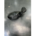 Дзеркало електричне ліве праве CP4985000 CP4995000 Peugeot 206 1998-2003