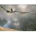 Рульова рейка для Opel Astra H (2005-2010) гідравлічна 7831915900 13188616 Рульова рейка для Opel Astra H (2005-2010) гідравлічна 7831915900 13188616