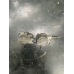 Вакуумний насос, Opel Astra G, Vectra В, 2.0 L, GM 9053139