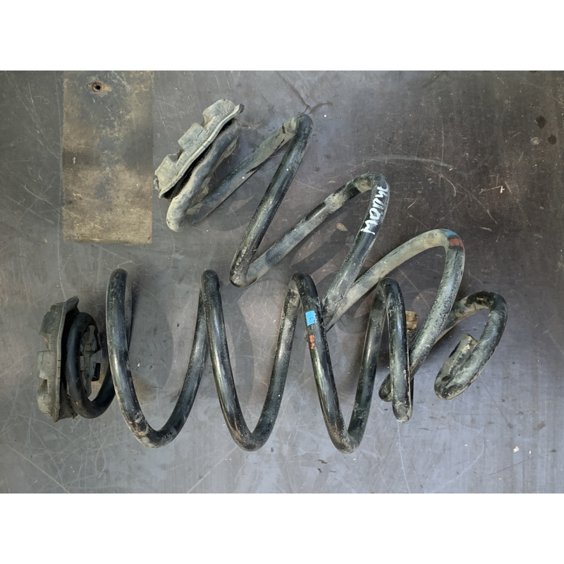 Задні пружини Renault Modus 8200843954 55034AX600