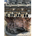 Двигун форд transit 2.2 tdci fwd 2013-
