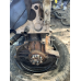 Двигун рено Renault kangoo, clio 1,4 k7j 8v 75km