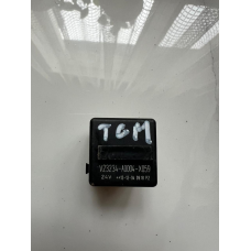 Реле V23234-A0004-X053 (24VDC)  MAN