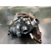 Турбіна Opel Vivaro/Citroen/Peugeot 2.0 HDI 9807873180 53031015184 40124961