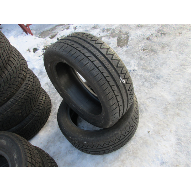 Шини зимові Michelin Pilot Alpin 225/50/17